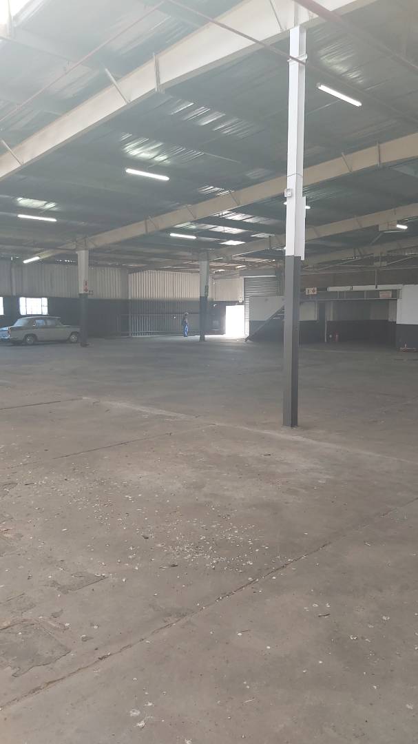 To Let Commercial Property for Rent in Wilsonia Eastern Cape